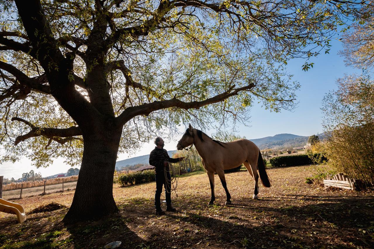 El Molino Agriturismo Fonteblanda Luaran gambar